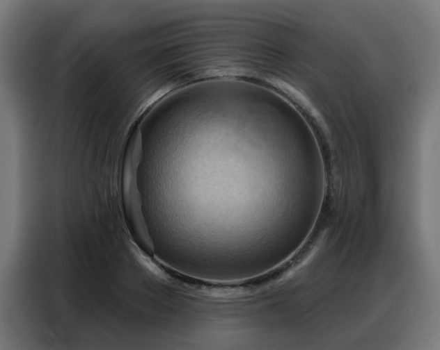X0000088380889200705221051