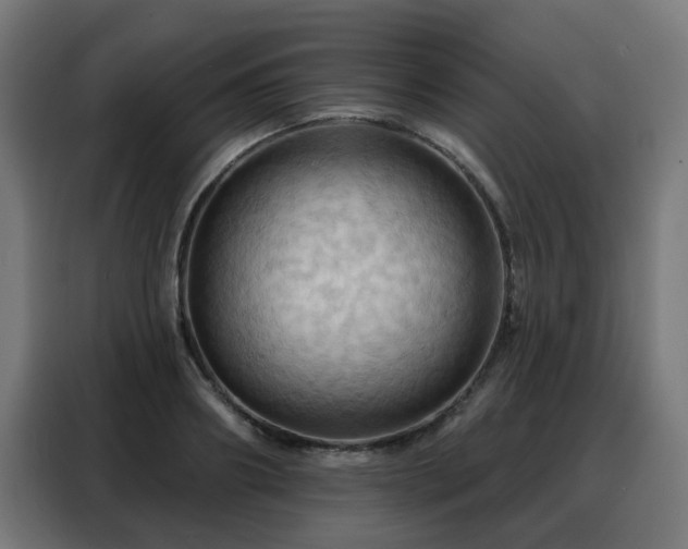 X0000088380890200705221051