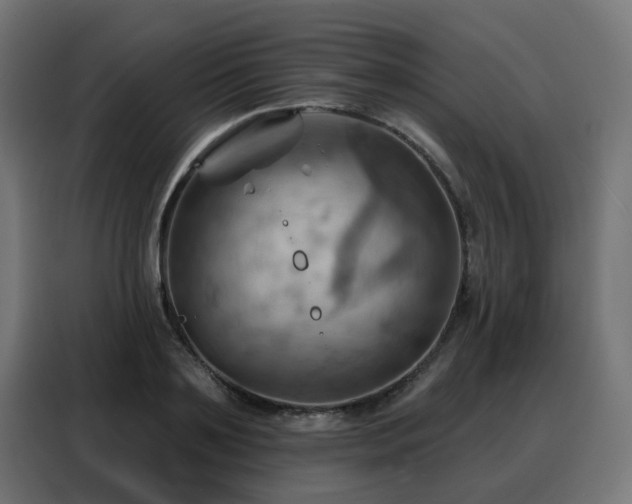 X0000088380891200705221051
