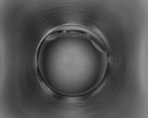 X0000088380892200705221051