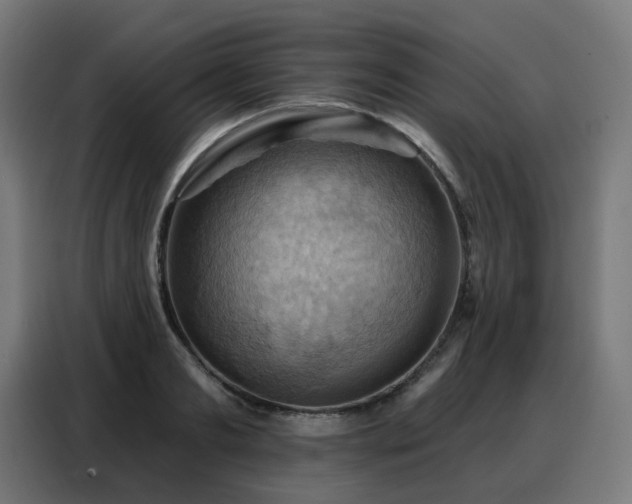 X0000088380893200705221051