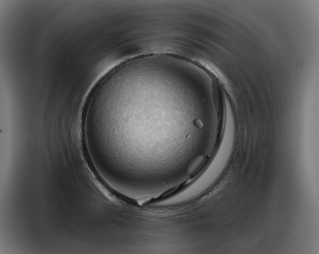 X0000088380894200705221051