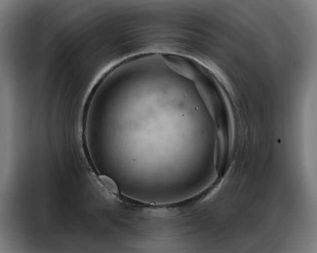X0000088380896200705221051