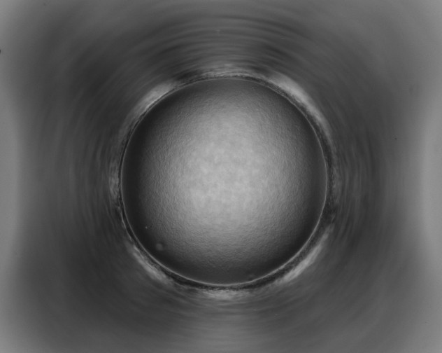 X0000088380897200705221051