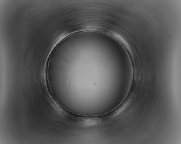X0000088380899200705221051