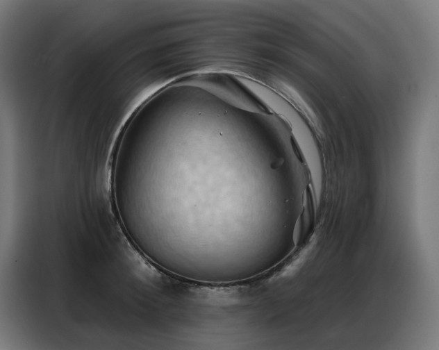 X0000088380900200705221051