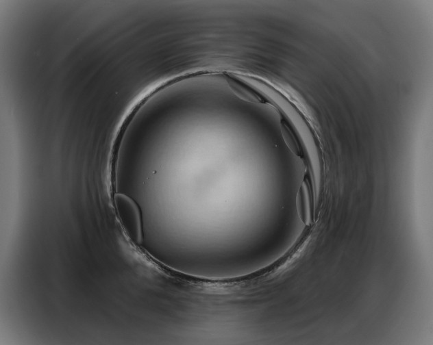 X0000088380904200705221051