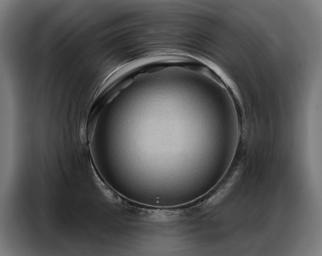 X0000088380905200705221051