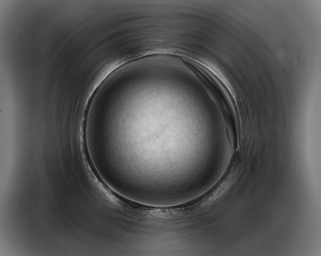 X0000088380906200705221051