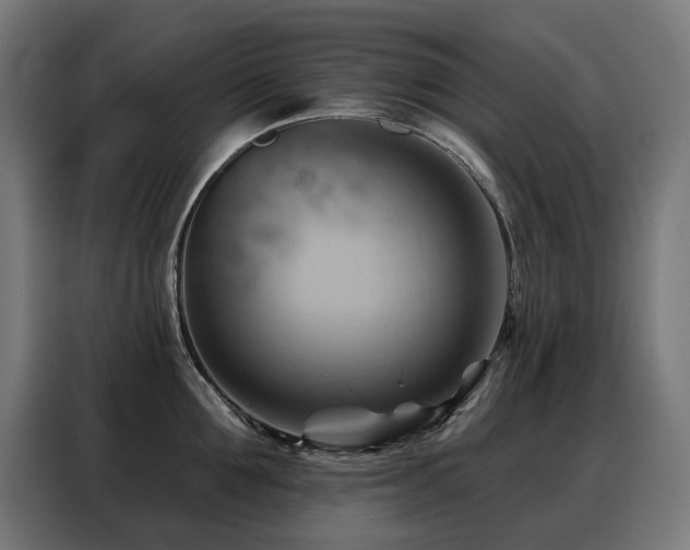 X0000088380907200705221051