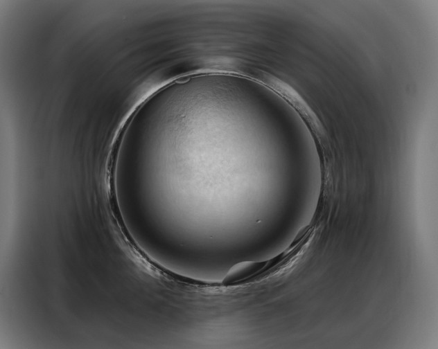 X0000088380908200705221051