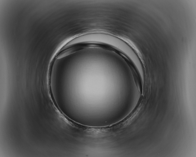 X0000088380910200705221051