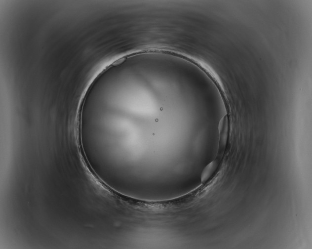 X0000088380911200705221051