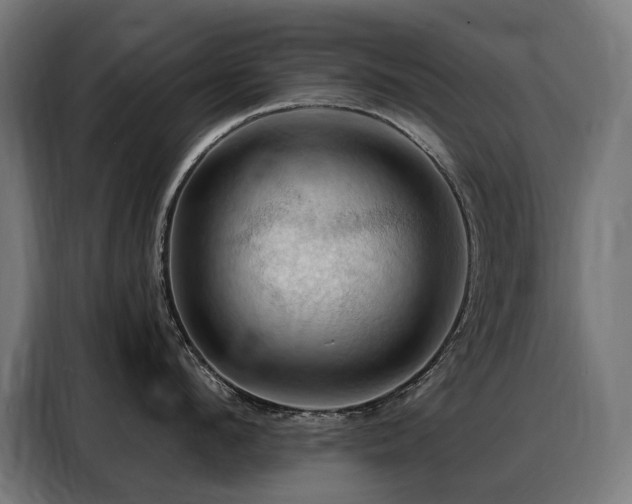 X0000088380912200705221051