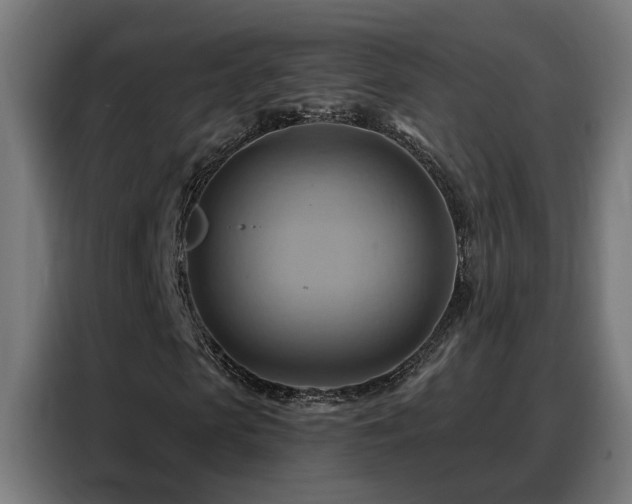 X0000088380913200705221050