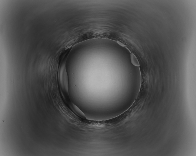 X0000088380914200705221050