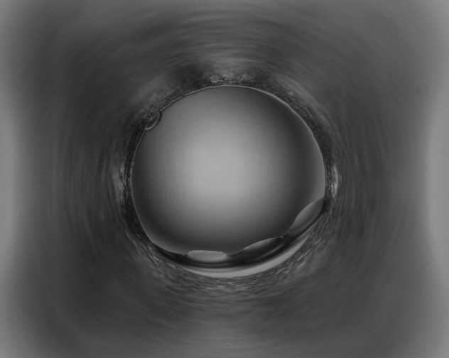 X0000088380915200705221050