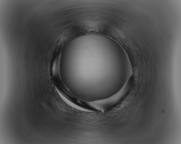 X0000088380916200705221050
