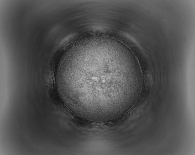 X0000088380918200705221050
