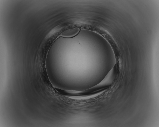X0000088380919200705221050
