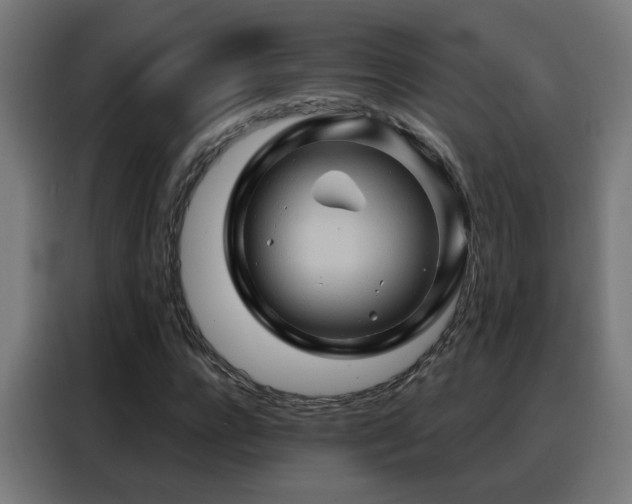 X0000088380920200705221050