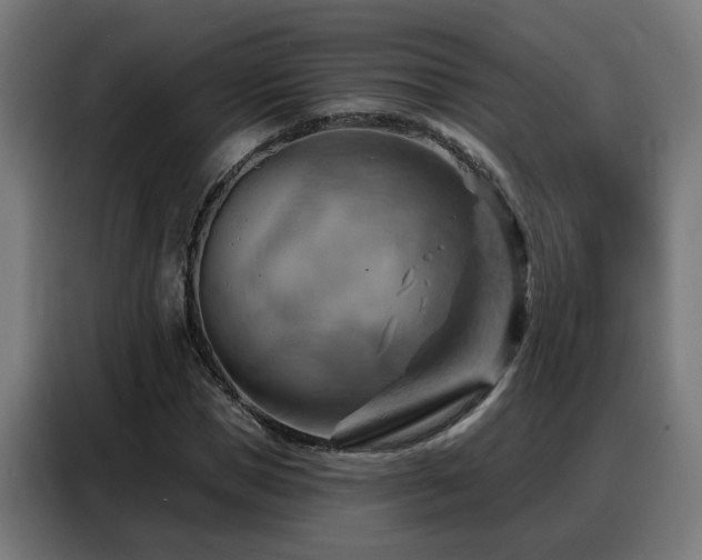 X0000088380921200705221050