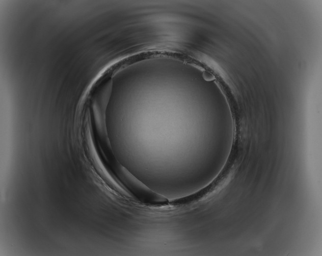 X0000088380923200705221050