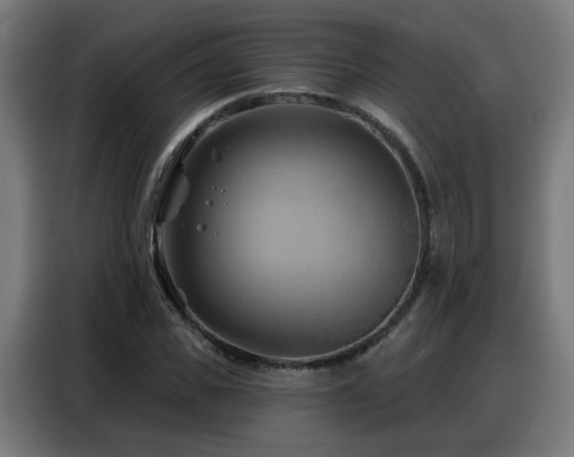 X0000088380925200705221050