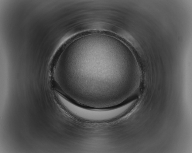 X0000088380926200705221050