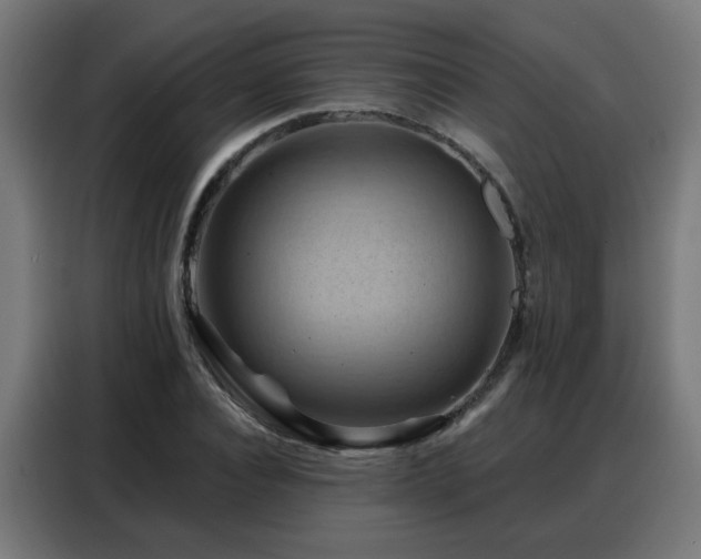 X0000088380928200705221050