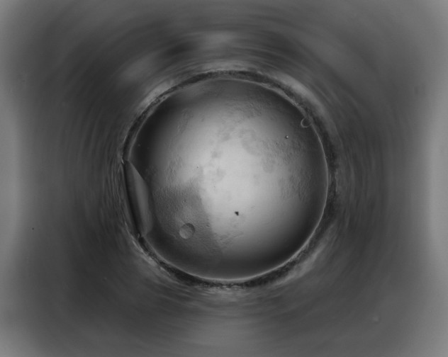 X0000088380929200705221050