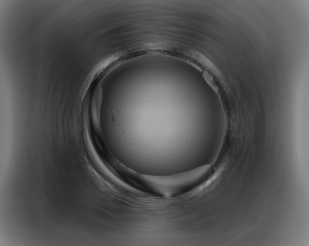 X0000088380930200705221050