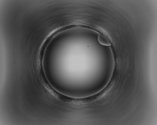 X0000088380931200705221050