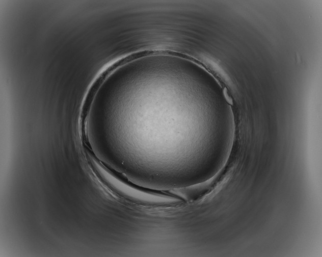 X0000088380932200705221050