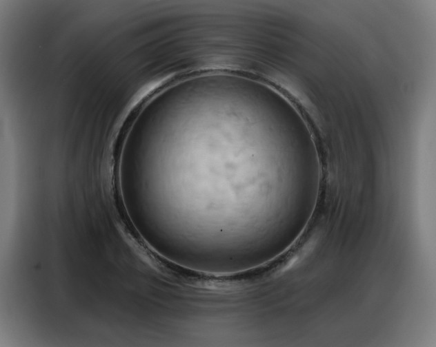 X0000088380933200705221050