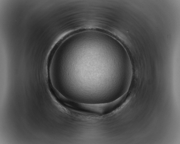 X0000088380934200705221050