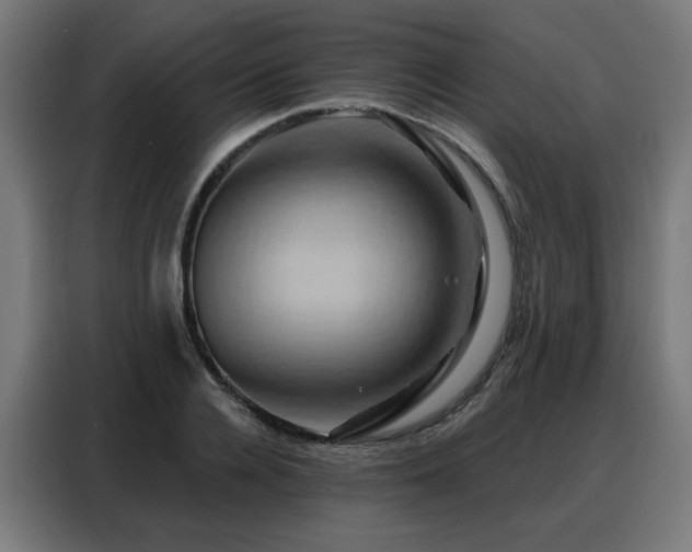 X0000088380936200705221050