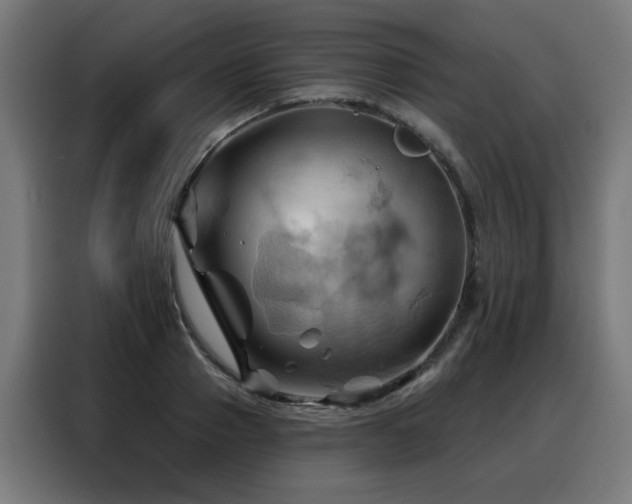 X0000088380937200705221050