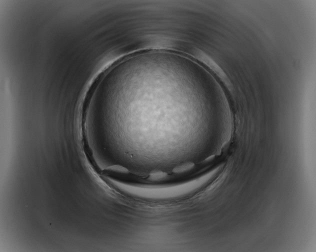 X0000088380939200705221050