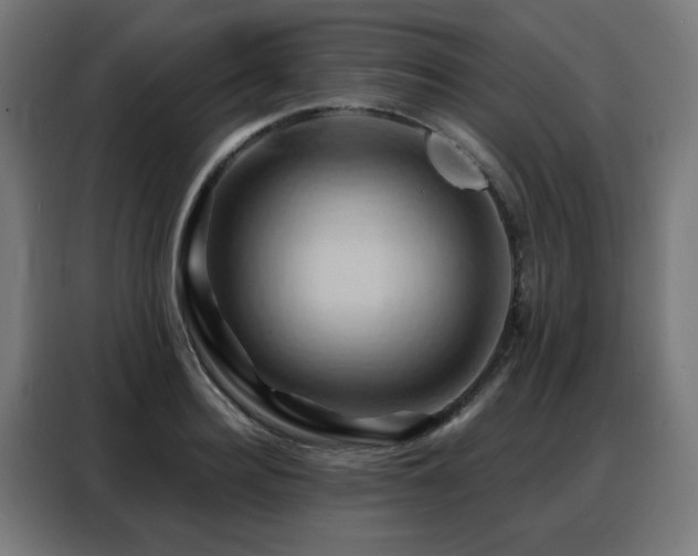 X0000088380940200705221050