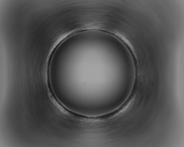 X0000088380941200705221050