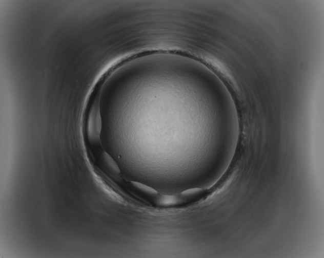 X0000088380942200705221050