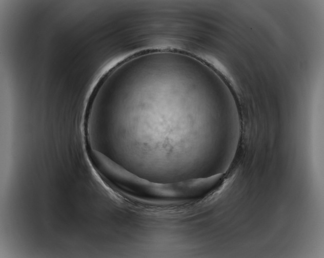 X0000088380943200705221051