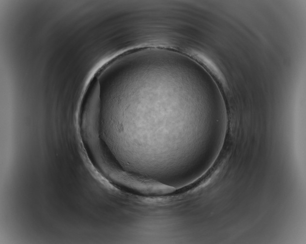 X0000088380944200705221051