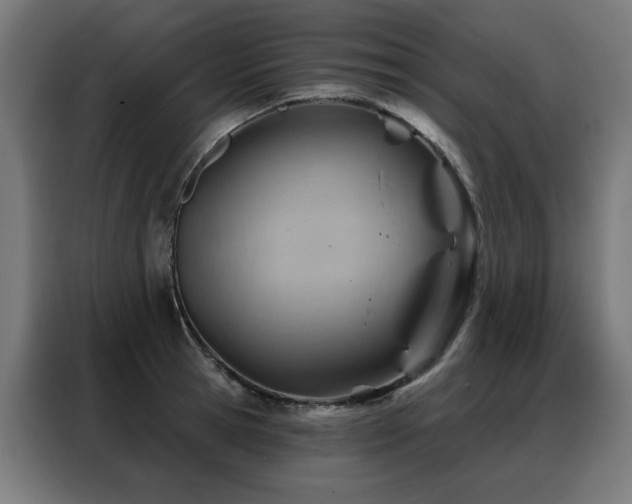 X0000088380945200705221051
