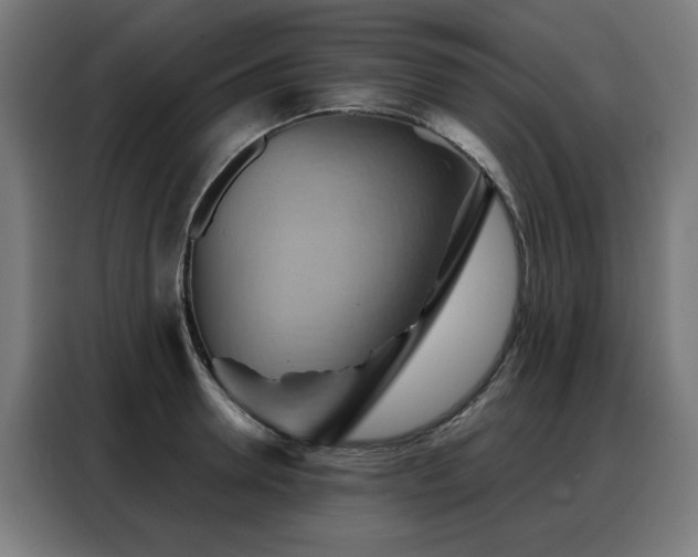 X0000088380946200705221051
