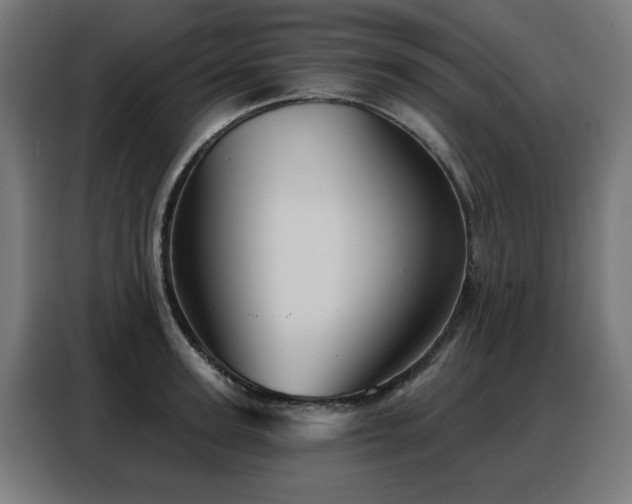 X0000088380947200705221051