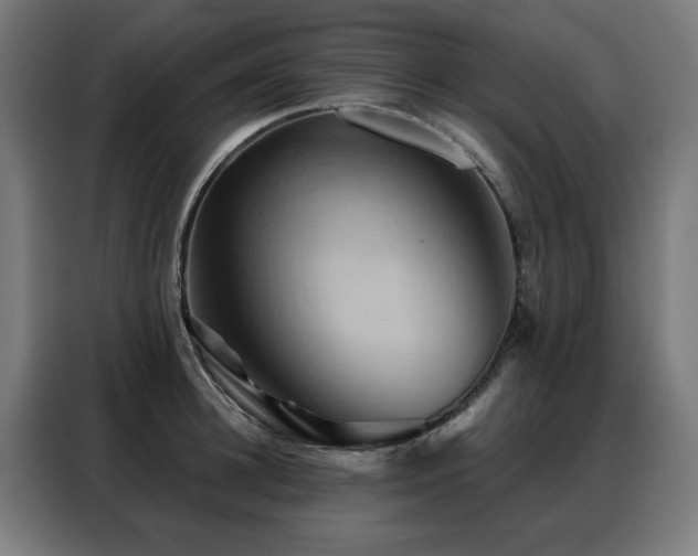 X0000088380948200705221051