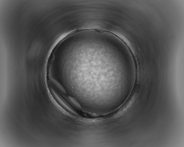 X0000088380949200705221051