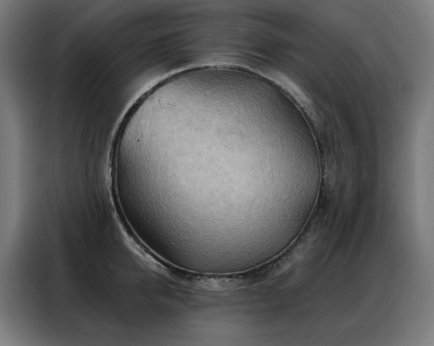 X0000088380950200705221051